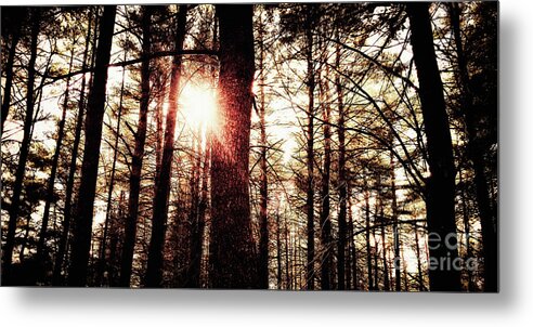 Fine Art Photography Metal Print featuring the photograph Light's End by RicharD Murphy