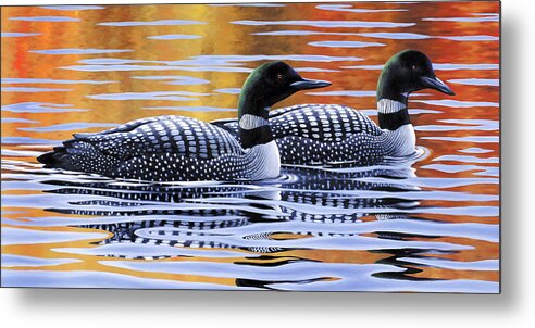 Loons Metal Print featuring the painting Northern Loons by Guy Crittenden