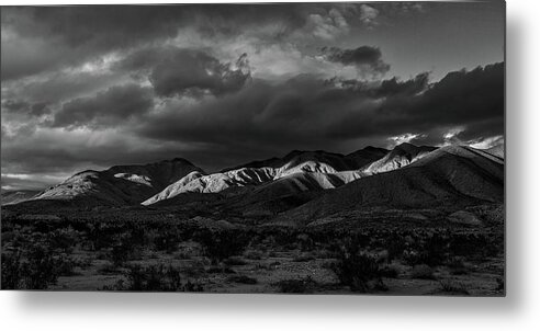 Black & White Metal Print featuring the photograph Peaking Through by Peter Tellone