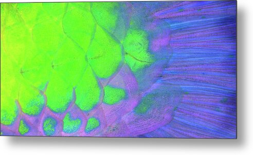 Parrotfish Metal Print featuring the photograph Scales in green and purple by Artesub
