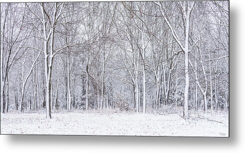 Snow Metal Print featuring the photograph Snowy Woods Pano by Jennifer White