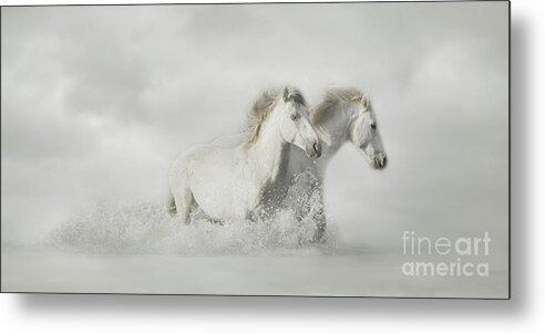Horse Metal Print featuring the photograph Splash of Angels by Lisa Manifold