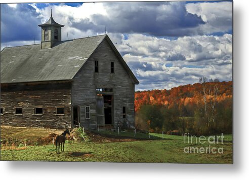 Fall Foliage Metal Print featuring the photograph Horse Barn by Brenda Giasson
