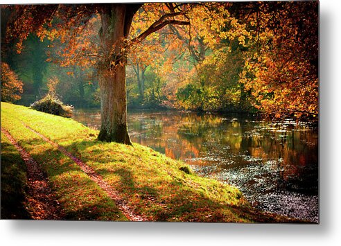  Autumn Metal Print featuring the photograph Autumnal Tamar River Walk, Devon, England. by Maggie Mccall