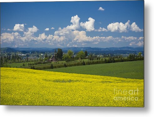 Canola Metal Print featuring the photograph Oregon Countryside by Idaho Scenic Images Linda Lantzy
