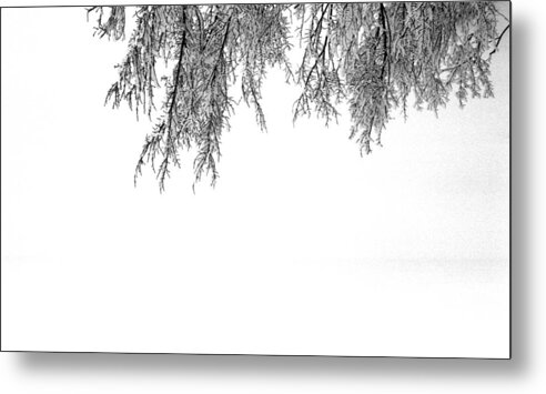 Abstract Metal Print featuring the photograph Snow On The Branches Two by Lyle Crump