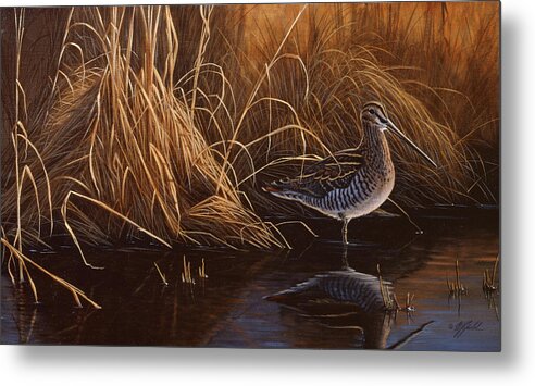 A Snipe Wades Into The Water Metal Print featuring the painting Evening Light - Snipe by Wilhelm Goebel