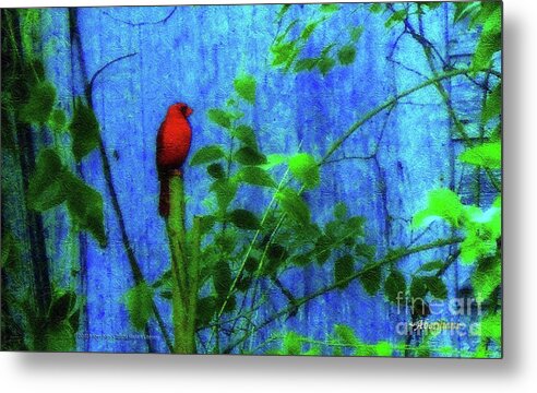 Earth Day Metal Print featuring the photograph Redbird Enjoying the Clarity of a Blue and Green Moment by Aberjhani