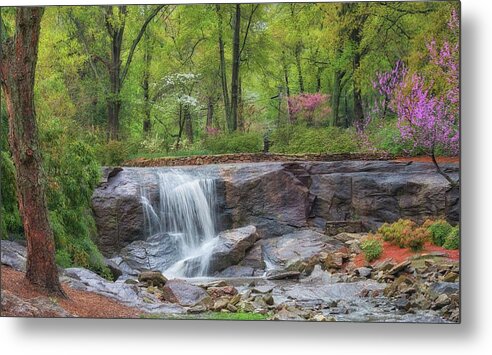 Rock Metal Print featuring the photograph Spring at the Rock Quarry Garden by Blaine Owens