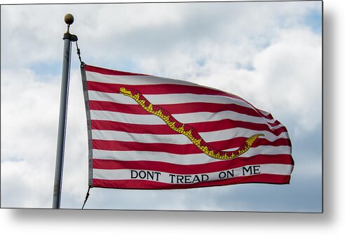 Don't Tread On Me Metal Print featuring the photograph Don't Tread On me #2 by Guy Whiteley