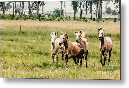 Sky Metal Print featuring the digital art Gallop #1 by Janice OConnor