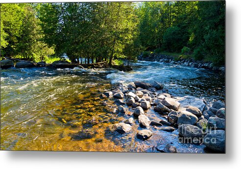 Gull Metal Print featuring the photograph Gull River #1 by Les Palenik