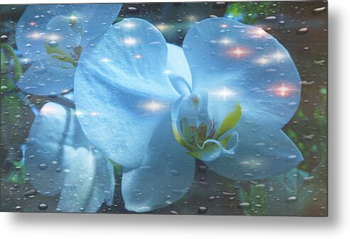 Water Metal Print featuring the photograph The Orchids with Water Drops #1 by Xueyin Chen