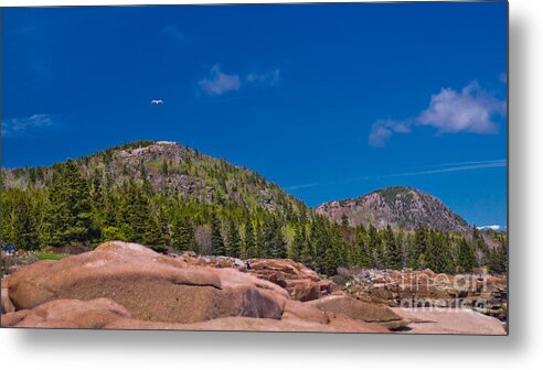 Acadia National Park Metal Print featuring the photograph Acadia National Park. #4 by New England Photography