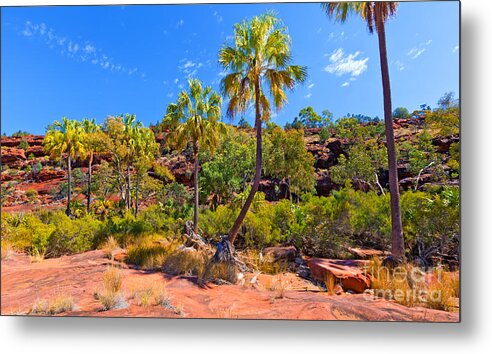 Palm Valley Central Australia Australian Outback Landscape Water Hole Oasis Palm Trees Ghost Gums Metal Print featuring the photograph Palm Valley Central Australia #27 by Bill Robinson