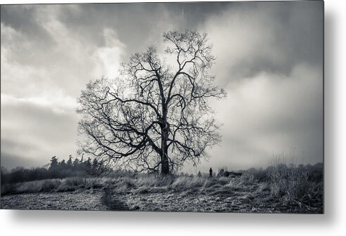 B&w Metal Print featuring the photograph A Little Perspective by Carrie Cole