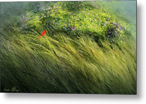 Cardinal Metal Print featuring the digital art A Spot of Red by Aaron Blaise