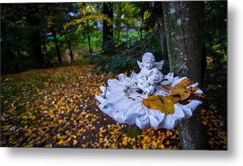 Fall Metal Print featuring the photograph Angel by David Downs
