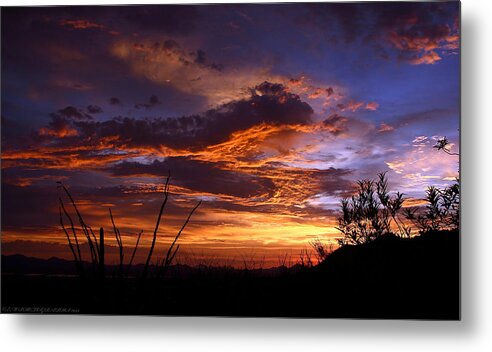 Sunsets Metal Print featuring the photograph Arizona Monsoon Sunset by Elaine Malott