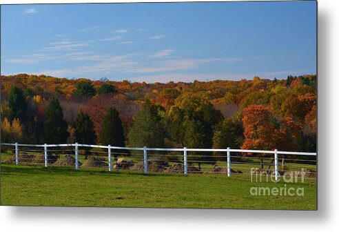 Farm Metal Print featuring the photograph Autumn Colors by Tammie Miller