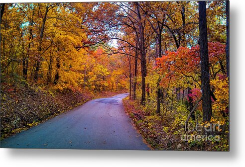 Autumn Colors Metal Print featuring the photograph Autumn Drive by Peggy Franz