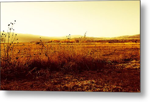 Cody Metal Print featuring the photograph Autumn Glow by Lisa Holland-Gillem