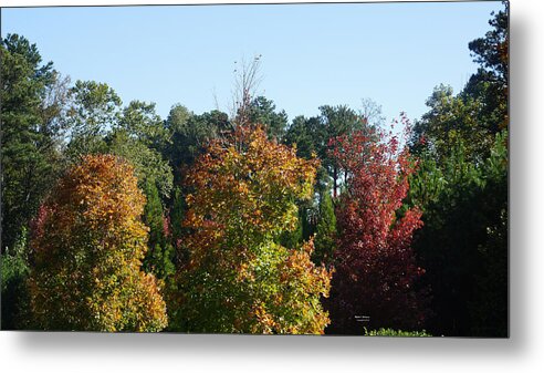 Autumn Leaves Metal Print featuring the photograph Autumn Leaves by Rafael Salazar