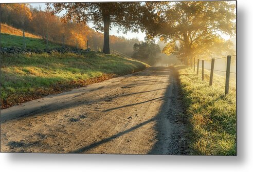 Fog Metal Print featuring the photograph Back Road Morning by Bill Wakeley