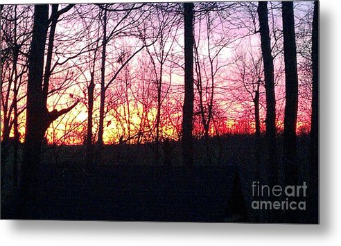 Landscapes Metal Print featuring the photograph Backyard Beauty by Nick 