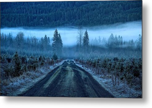 Blue Metal Print featuring the photograph Blue and foggy and moody by Lynn Hopwood