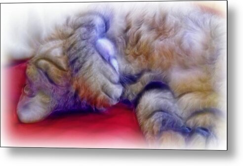 Cat Metal Print featuring the photograph Camera Shy Kitty by Lilia D