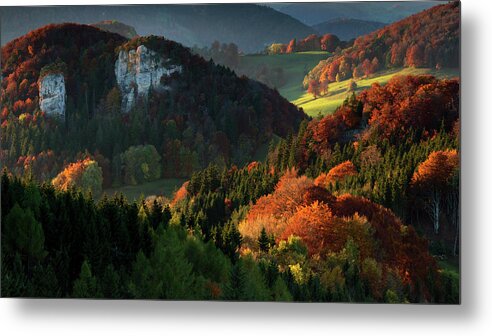 Tranquility Metal Print featuring the photograph Colourful Forest In Autumn In Northern by Sa*ga Photography
