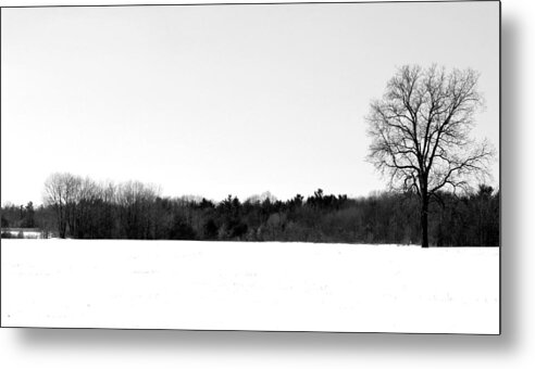 Winter Metal Print featuring the photograph Dead of Winter by Mary Bedy