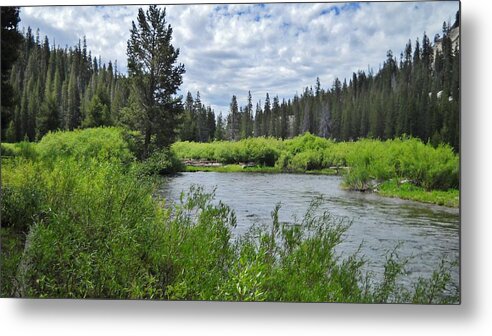 Sierra Metal Print featuring the photograph Deep In The Sierras by Marilyn Diaz