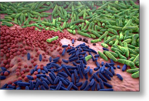 Bacterium Metal Print featuring the photograph Different Bacterial Flora by Thierry Berrod, Mona Lisa Production