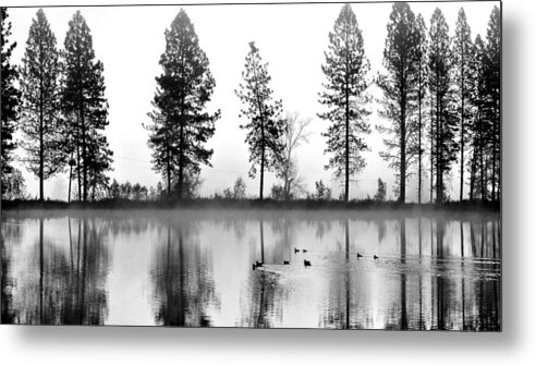 Black & White Metal Print featuring the photograph Duck Weather by Julia Hassett