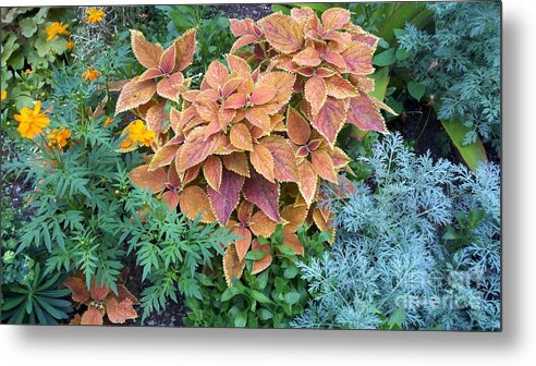 Fall Flowers Metal Print featuring the painting Early Fall by Margaret Welsh Willowsilk