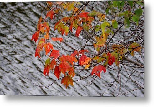 Fall Metal Print featuring the photograph Fall leaves over the lake by Lois Lepisto