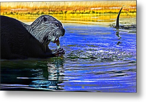 Tarongah Western Plains Zoo Metal Print featuring the photograph Find A Crab Crunch A Crab by Miroslava Jurcik