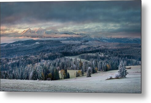 Winter Metal Print featuring the photograph First Touch Of Winter by 