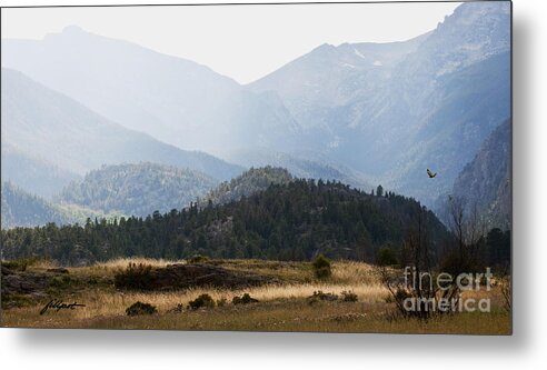 Mountains Metal Print featuring the photograph Flying Home by Bon and Jim Fillpot