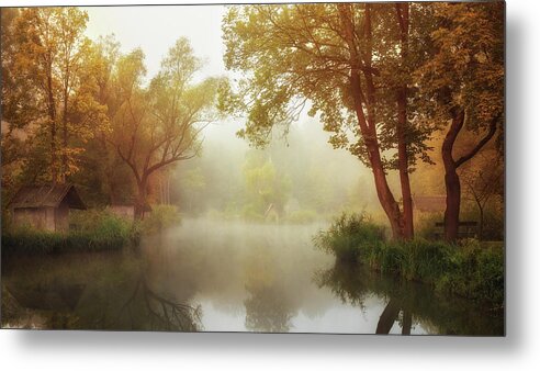 Pond Metal Print featuring the photograph Foggy Autumn by Leicher Oliver