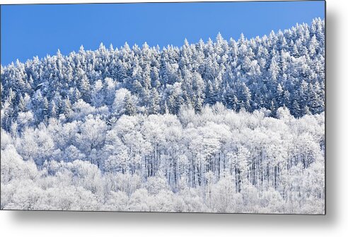 Winter Metal Print featuring the photograph Frosted Mountainside by Alan L Graham