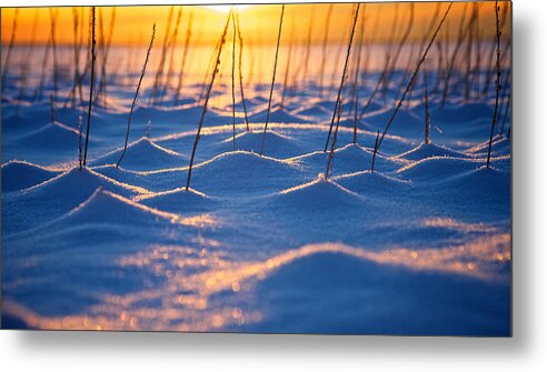 Abstract Metal Print featuring the photograph Frozen Wonderland by Scott Slone