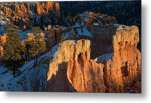 Landscape Metal Print featuring the photograph Golden Hour by Darlene Bushue