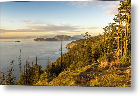 Golden Hour Metal Print featuring the photograph Golden Hour on the Salish Sea by Tony Locke
