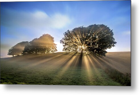 Denmark Metal Print featuring the photograph Good Morning To A Great Day. by Leif L?ndal