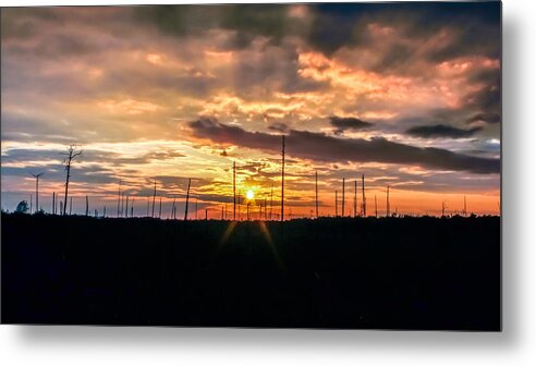 Al Metal Print featuring the photograph Gulf Shore Sunset by Traveler's Pics