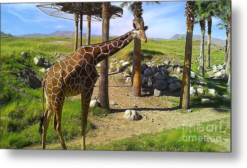 Animal Metal Print featuring the photograph Hello There by Chris Tarpening