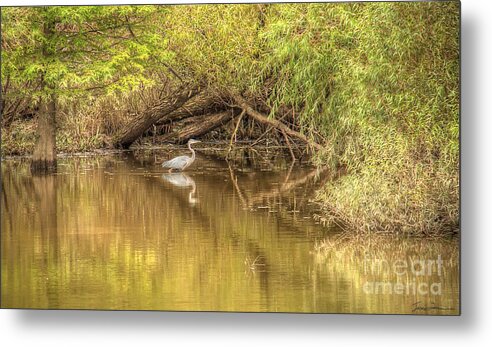 Heron Metal Print featuring the photograph Heron by Traci Law